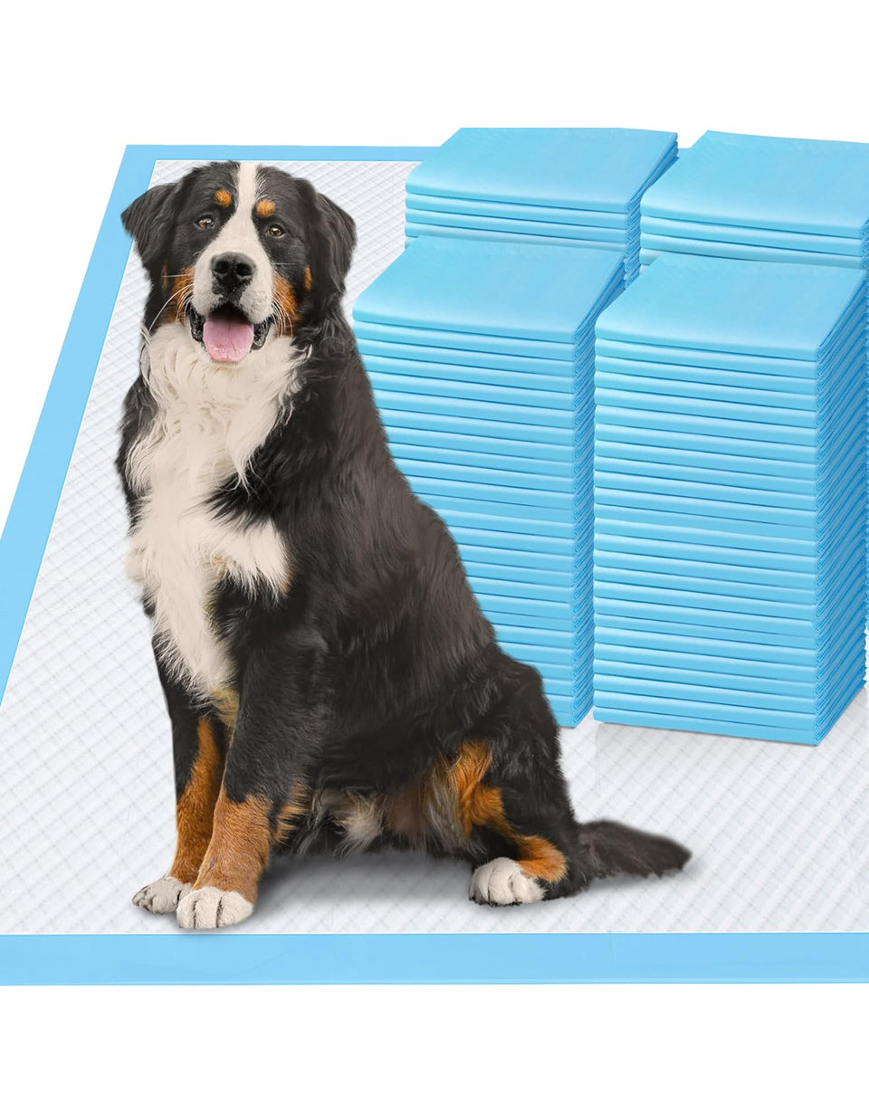 Gimars 4XL 36x36 inch extra large blue dog pee pads with a large dog sitting on one pad and stacks of folded pads in the background