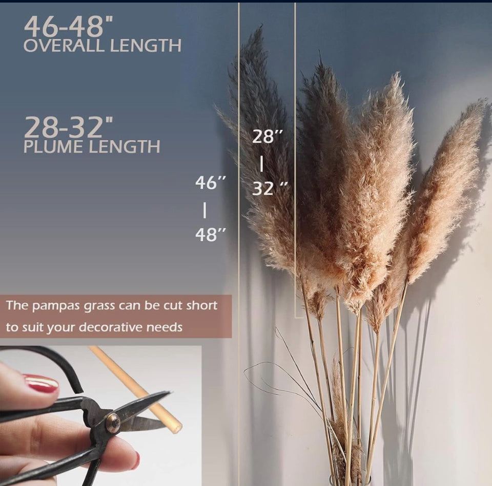 Open Box lorfain 46-48 Inch Tall Natural Dried Pampas Grass for Home Decor | Eco-Friendly Large Pampas Grass Stems for Christmas & Boho Flower Arrange
