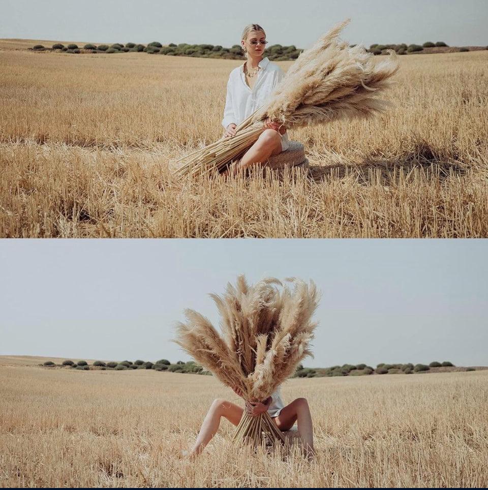 Open Box lorfain 46-48 Inch Tall Natural Dried Pampas Grass for Home Decor | Eco-Friendly Large Pampas Grass Stems for Christmas & Boho Flower Arrange