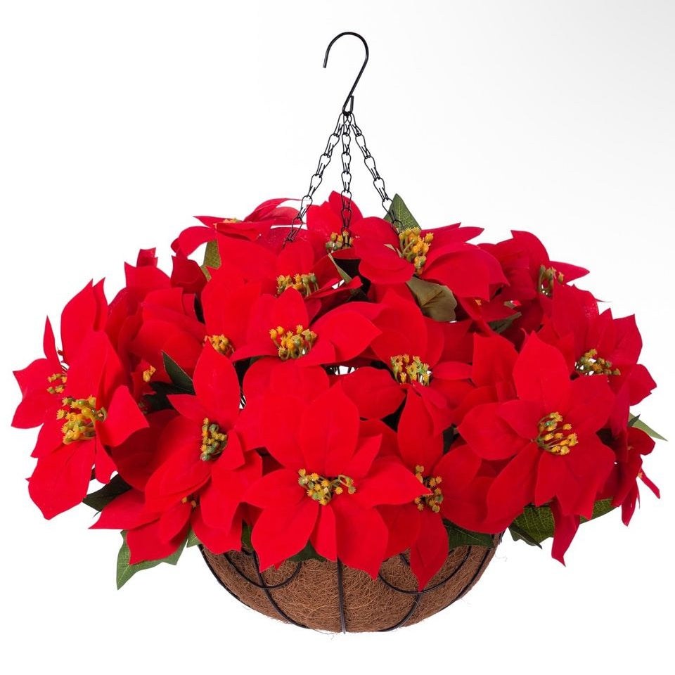 Artificial Christmas poinsettia flowers in a hanging basket for outdoor decoration
