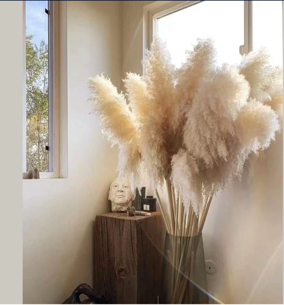 Open Box lorfain 46-48 Inch Tall Natural Dried Pampas Grass for Home Decor | Eco-Friendly Large Pampas Grass Stems for Christmas & Boho Flower Arrange