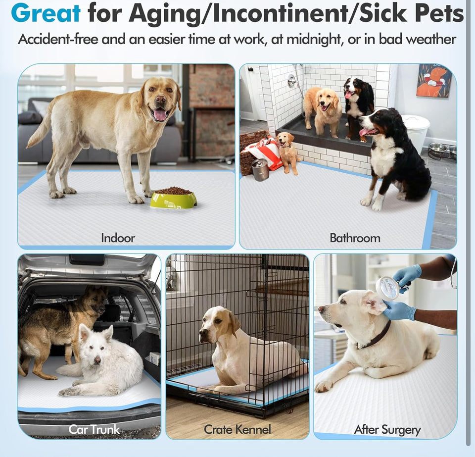 Brand Ne Gimars 4XL 36x36 Dog Pee Pads Extra Large - 200 Counts, Thicken Extra Absorbent Pet Training Puppy Pee Pads, Quick Dry Leak Proof Jumbo Dispo
