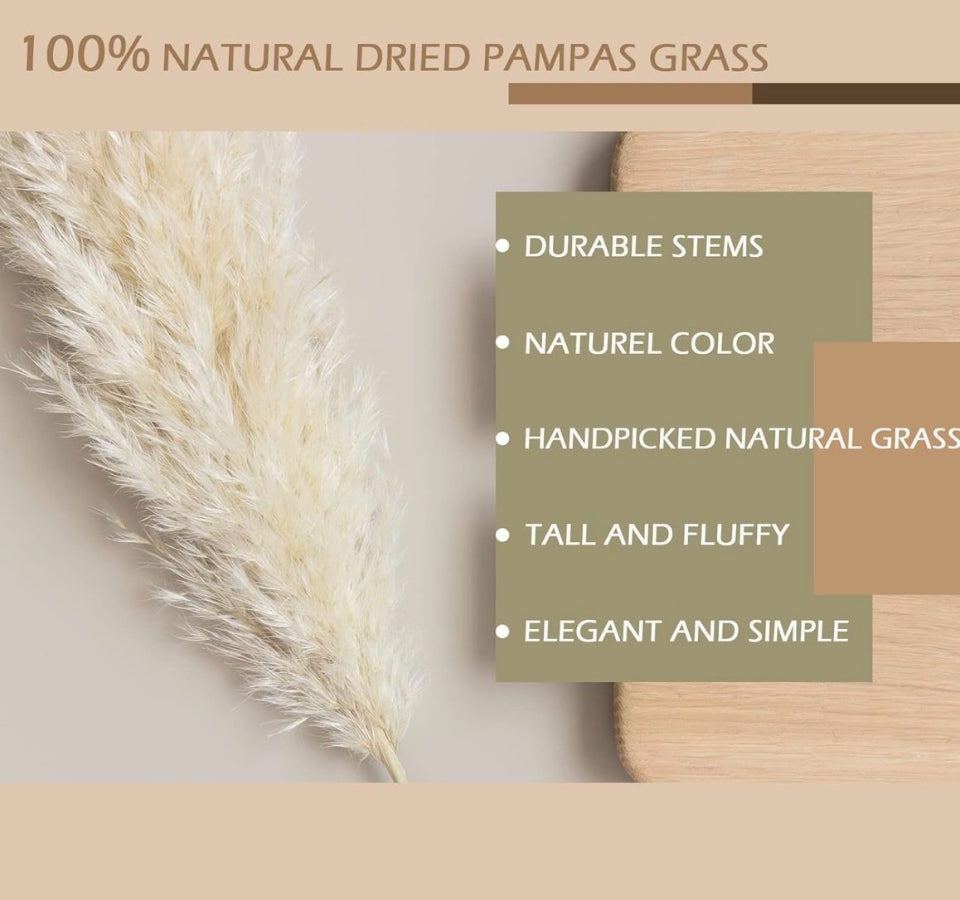 Open Box lorfain 46-48 Inch Tall Natural Dried Pampas Grass for Home Decor | Eco-Friendly Large Pampas Grass Stems for Christmas & Boho Flower Arrange