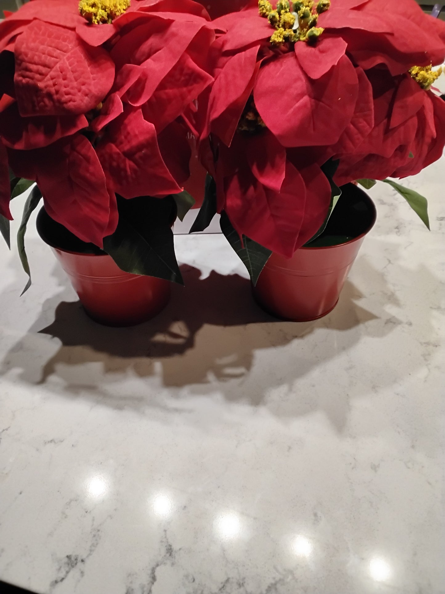 Open Box Homeseasons 2 Pack Christmas Decorations Pre-Lit Artificial Poinsettia Plant - LED Lighted Faux Poinsettia Flowers(Red,10inch)