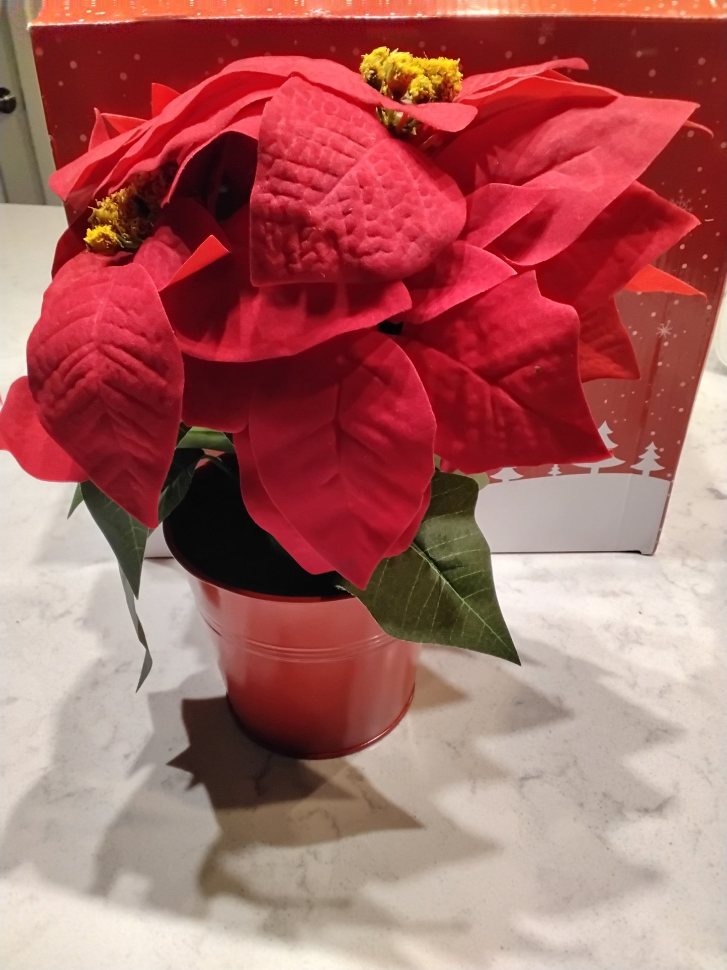 Open Box Homeseasons 2 Pack Christmas Decorations Pre-Lit Artificial Poinsettia Plant - LED Lighted Faux Poinsettia Flowers(Red,10inch)