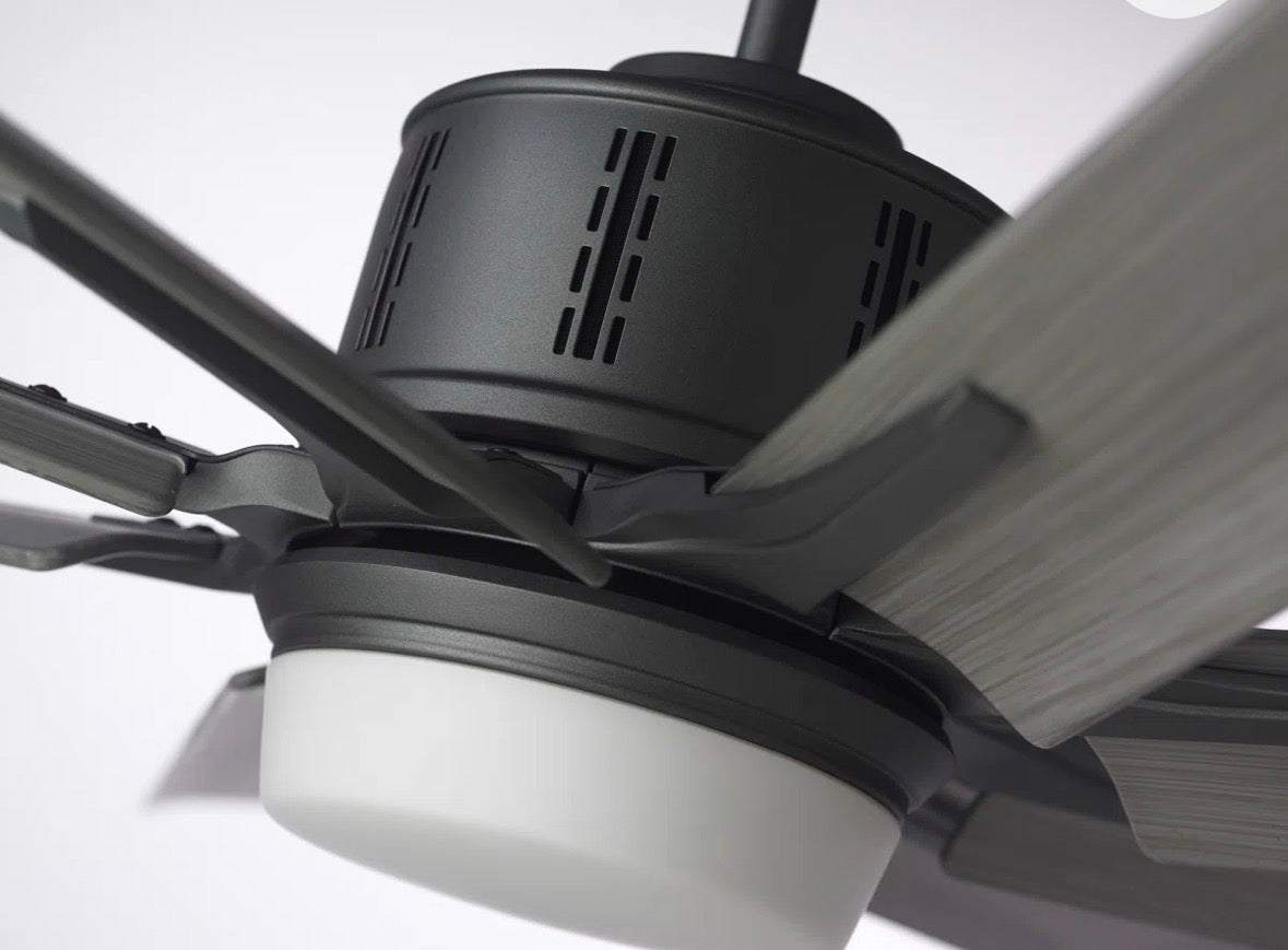 Ebern Designs Kenja 72'' Ceiling Fan with LED Lights