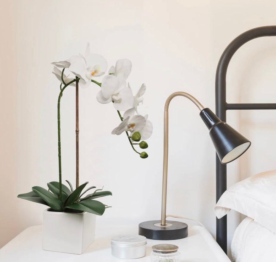 "Primrue White Phalaenopsis In 5"" Cube White Pot, Elegant Lifelike Orchid, Ideal For Home, Office, And Tabletop Decor"