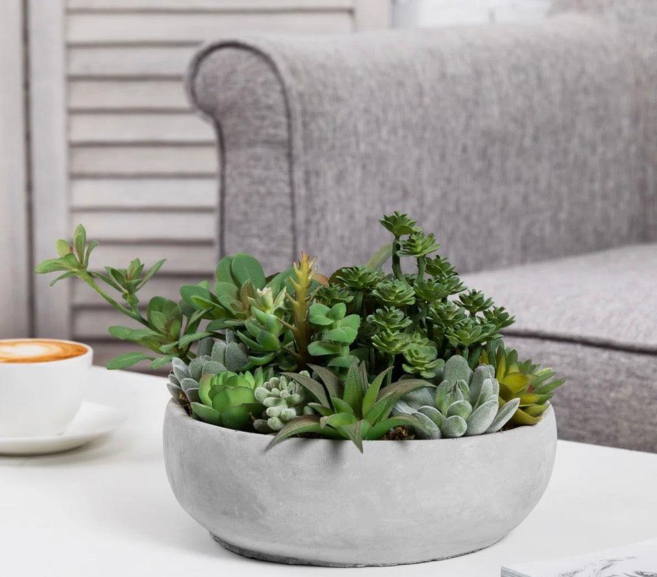 "Primrue Benita 7"" Faux Succulent Plant in Cement Pot"