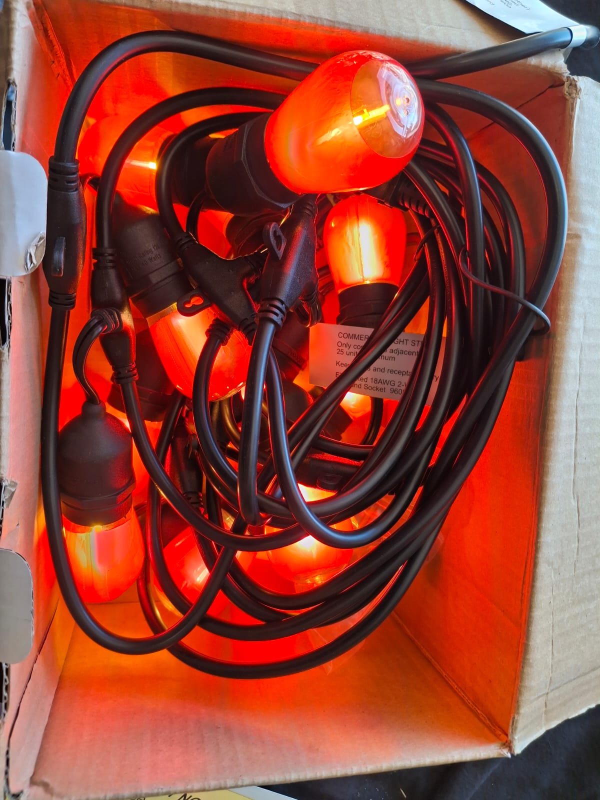 Open box Hampton Bay 12-Light 24 ft. Plug-in Indoor/Outdoor Edison String Light with S14 Single Filament LED Bulbs