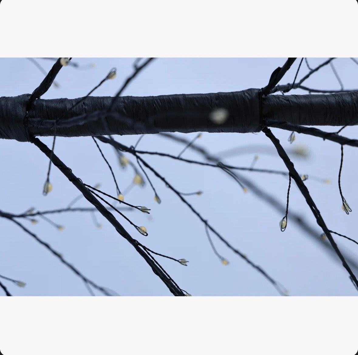 Hi-Line Gift LTD Black Birch Tree with LED Lights Indoor Use Only