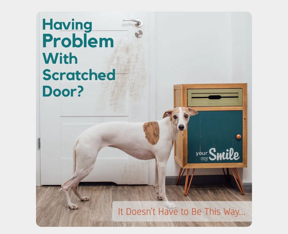 Proteco Door Scratch Protector - 30"x20"