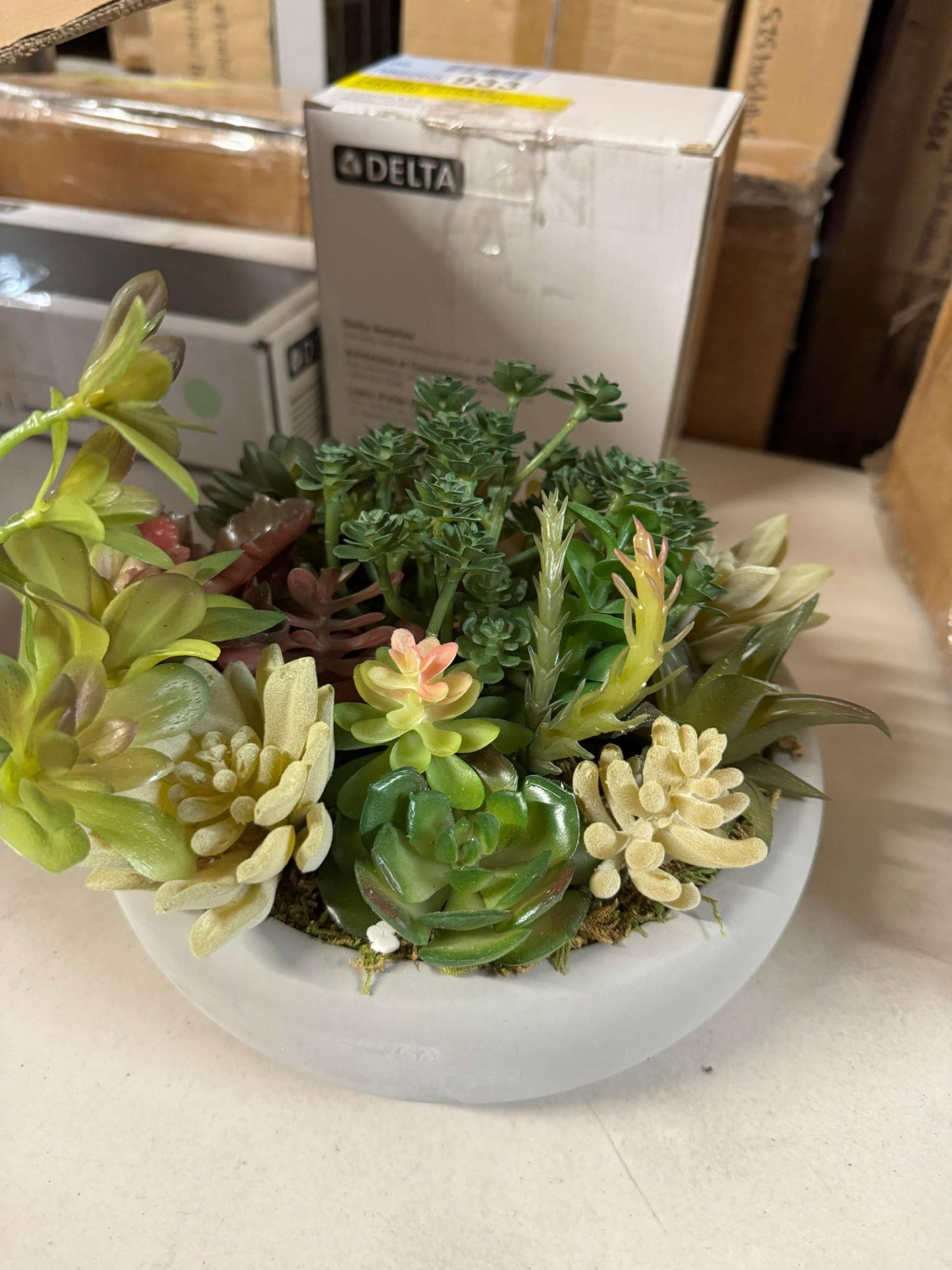 "Primrue Benita 7"" Faux Succulent Plant in Cement Pot"