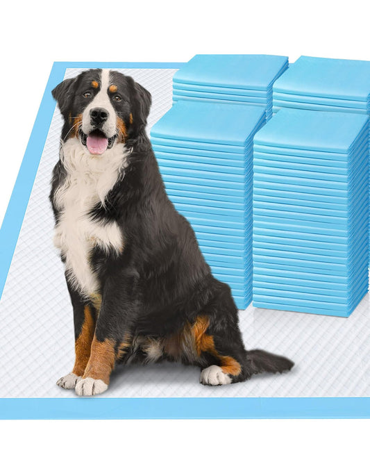 Gimars 4XL 36x36 inch extra large blue dog pee pads with a large dog sitting on one pad and stacks of folded pads in the background