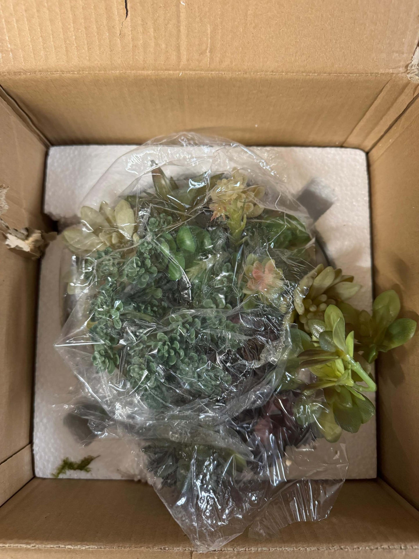 "Primrue Benita 7"" Faux Succulent Plant in Cement Pot"