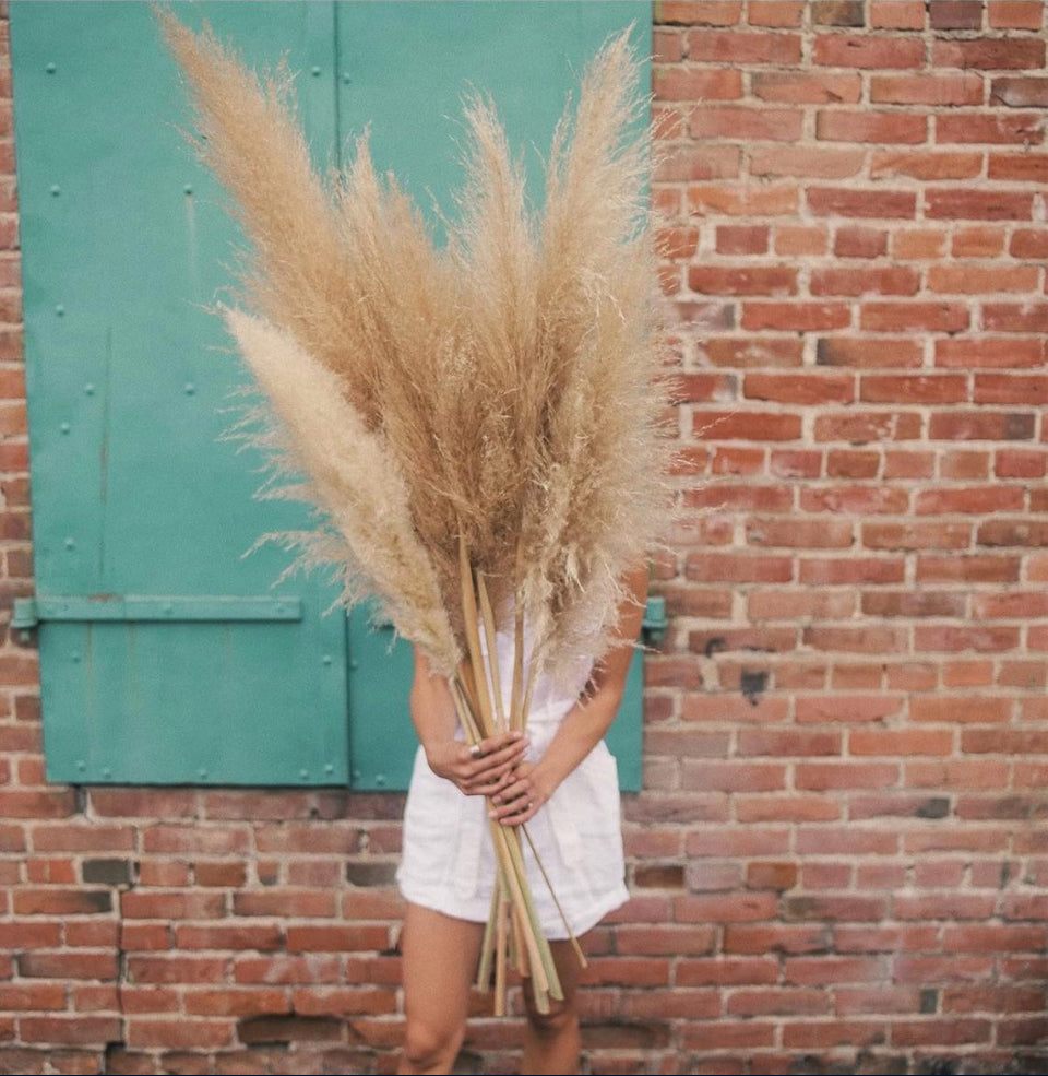 Person holding large open box LorFain natural dried pampas grass stems against a brick wall.
