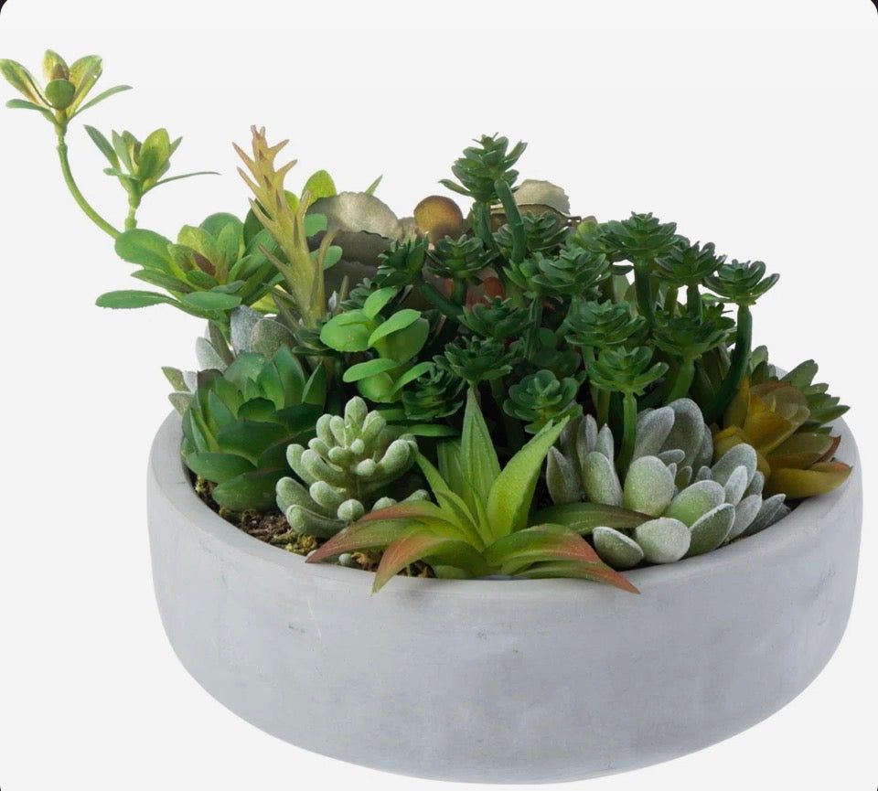 "Primrue Benita 7"" Faux Succulent Plant in Cement Pot"