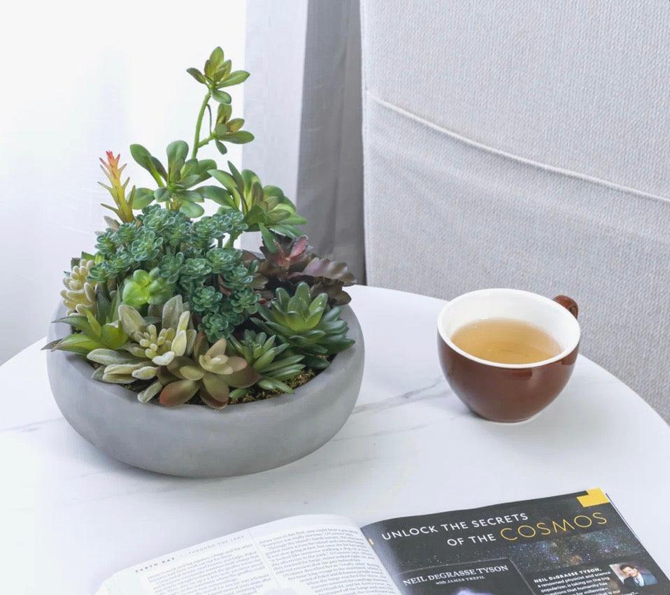 Benita 7" faux succulent plant in gray cement pot for modern home decor