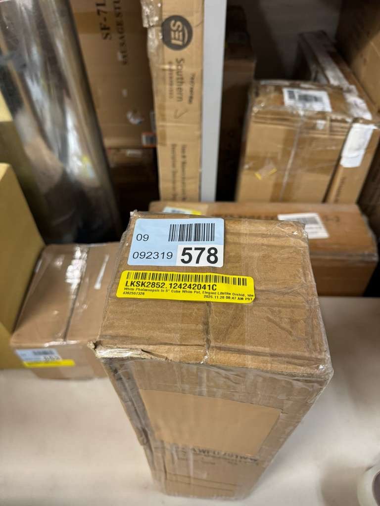 "Primrue White Phalaenopsis In 5"" Cube White Pot, Elegant Lifelike Orchid, Ideal For Home, Office, And Tabletop Decor"