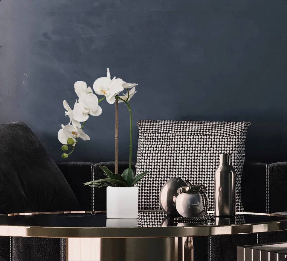 "Primrue White Phalaenopsis In 5"" Cube White Pot, Elegant Lifelike Orchid, Ideal For Home, Office, And Tabletop Decor"