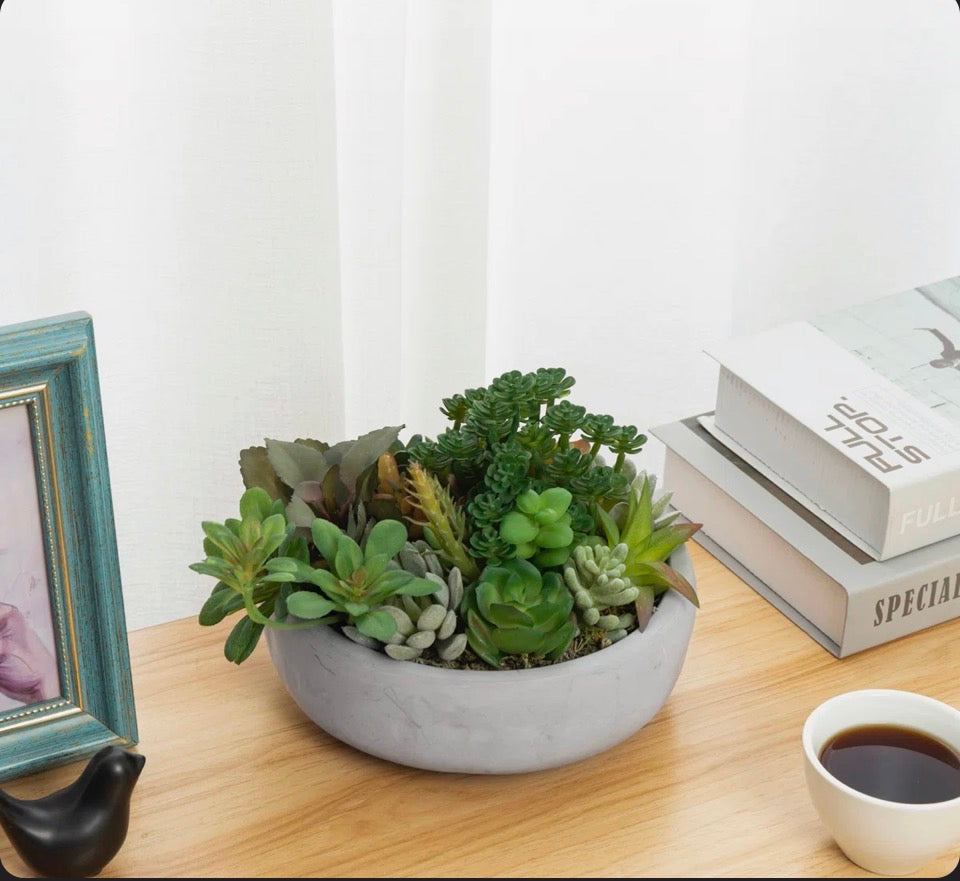 "Primrue Benita 7"" Faux Succulent Plant in Cement Pot"