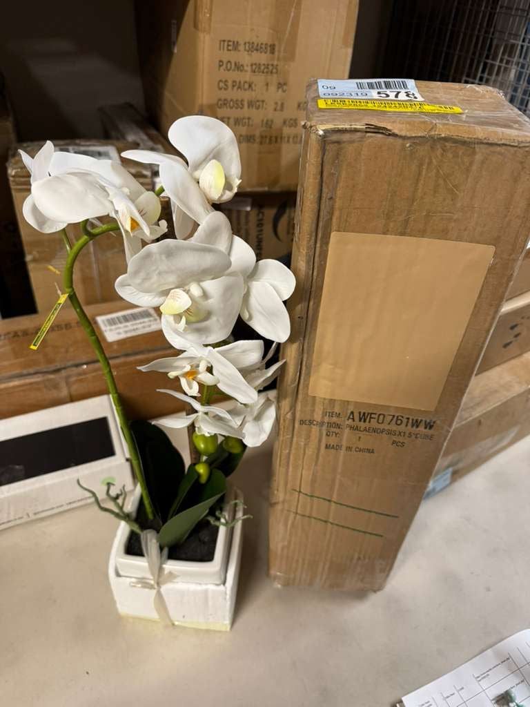 "Primrue White Phalaenopsis In 5"" Cube White Pot, Elegant Lifelike Orchid, Ideal For Home, Office, And Tabletop Decor"