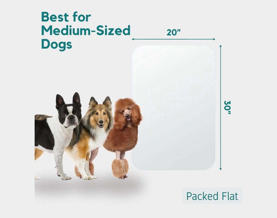 Proteco Door Scratch Protector - 30"x20"