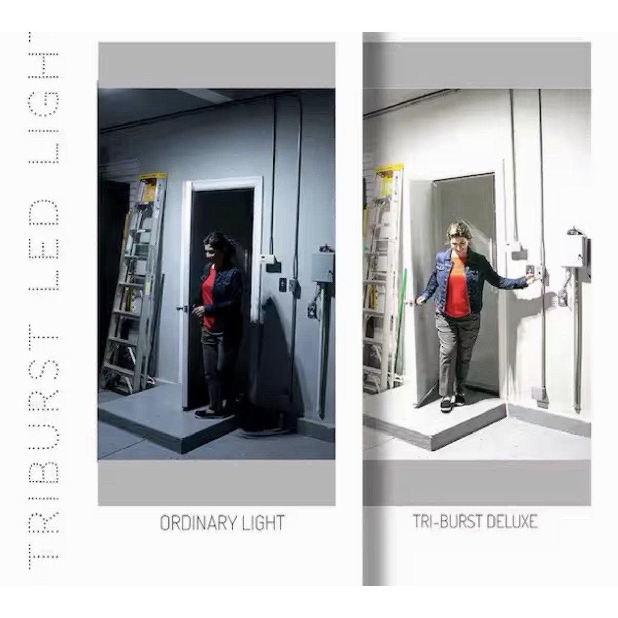 Triburst Deluxe 10.5 In. 144 High Intensity LED 5500 Lumens Flush Mount Ceiling Light