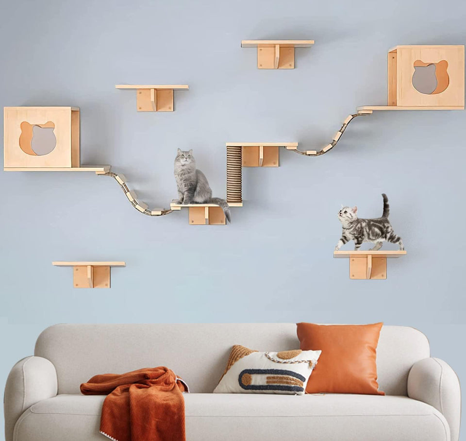 Canormpet cat wall shelves set with wooden shelves, cat condos, ladder, and scratcher, mounted above a sofa with cats using it.