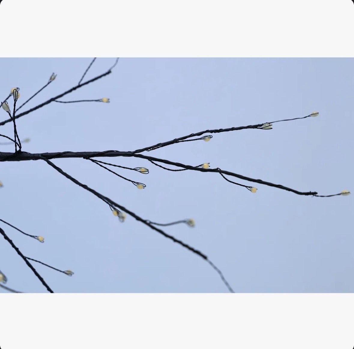 Hi-Line Gift LTD Black Birch Tree with LED Lights Indoor Use Only