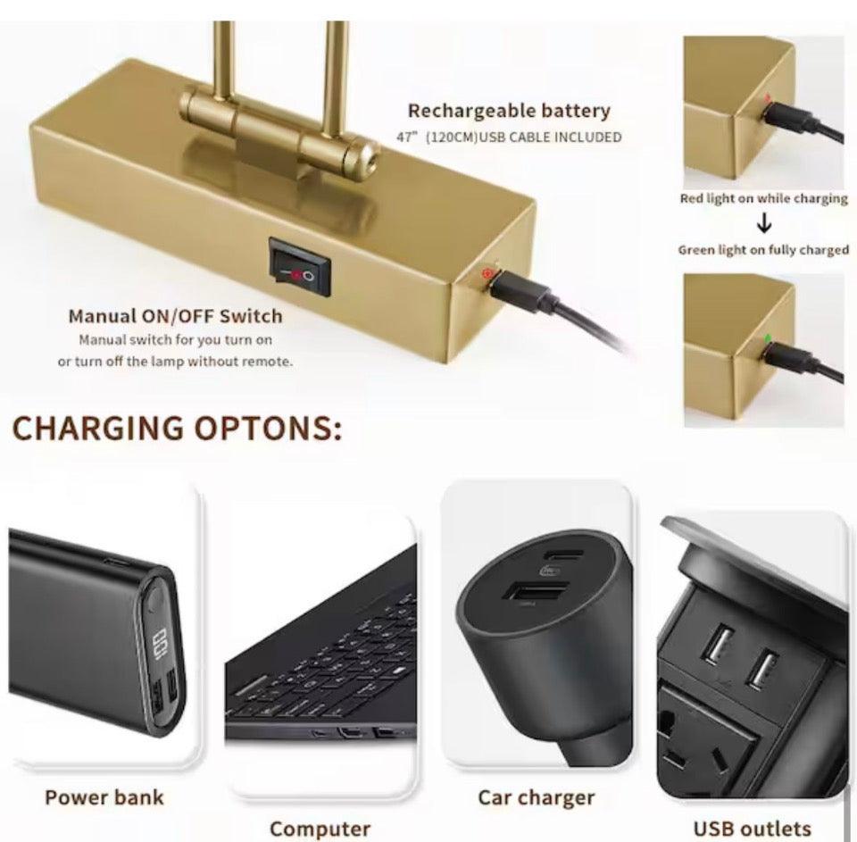 Jusheng Brass 16 in. LED Picture Light with Remote Control Dimmable and Swivel