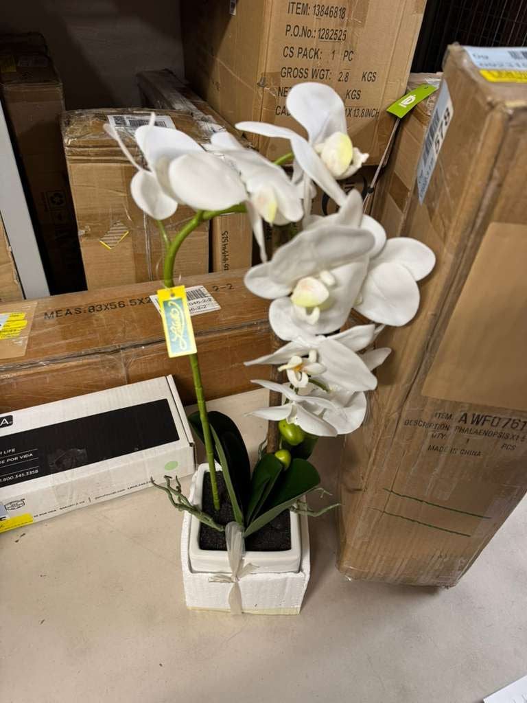 "Primrue White Phalaenopsis In 5"" Cube White Pot, Elegant Lifelike Orchid, Ideal For Home, Office, And Tabletop Decor"
