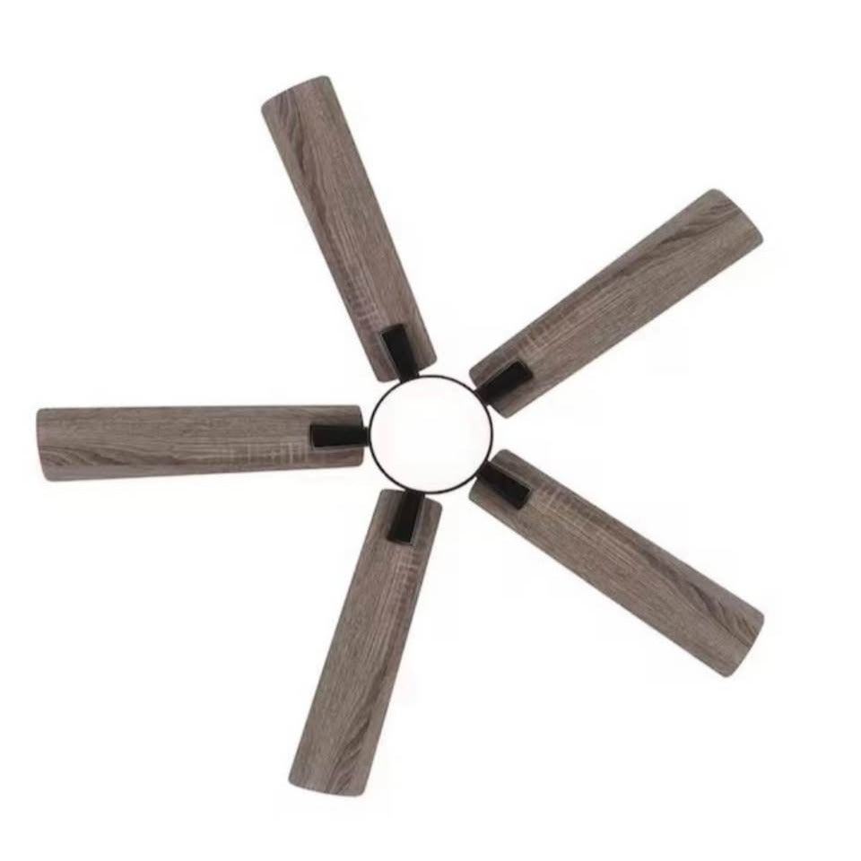 Flashwind Walter 52 in. Indoor Black Ceiling Fan with Adjustable White LED Light, 5-Reversible Blade