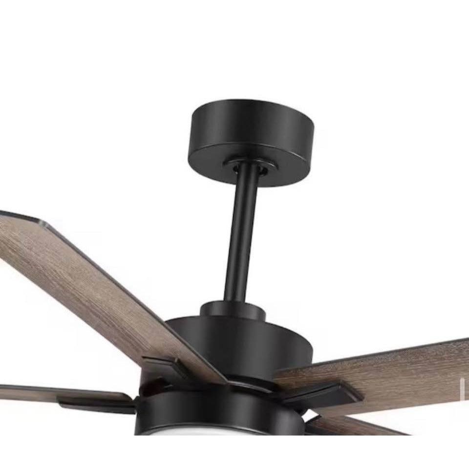Flashwind Walter 52 in. Indoor Black Ceiling Fan with Adjustable White LED Light, 5-Reversible Blade