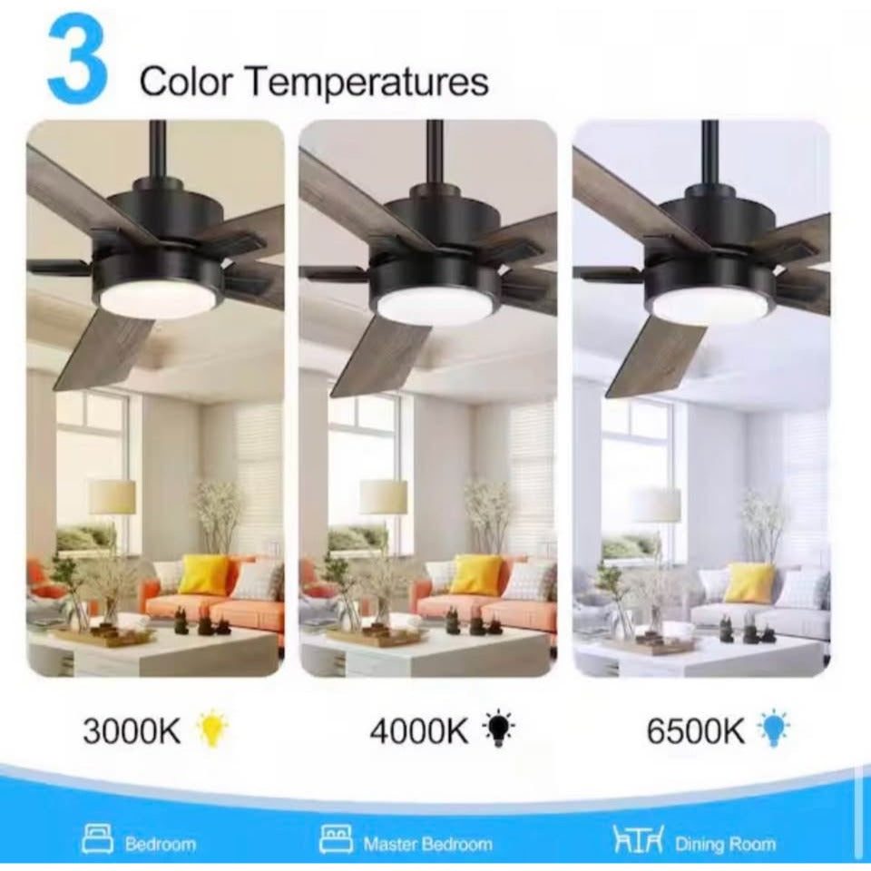 Flashwind Walter 52 in. Indoor Black Ceiling Fan with Adjustable White LED Light, 5-Reversible Blade