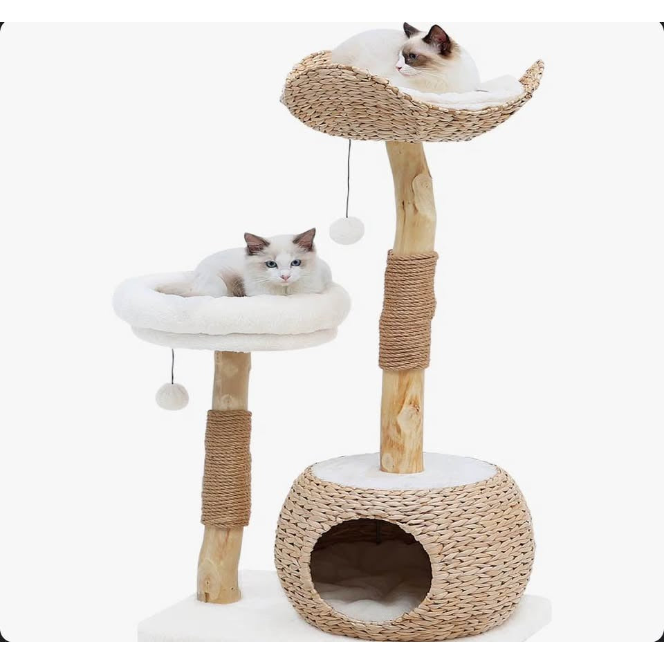 Kelston 40.5" cat tree with woven cattail fabric, sisal rope posts, cushioned perch, anti-tip straps, and minimalist design for indoor small cats.