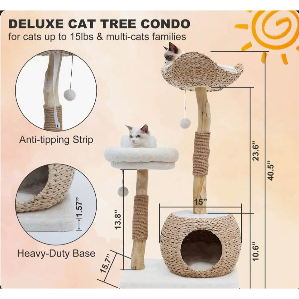Kelston 40.5" Cat Tree for Indoor Small Cats, Woven Cattail Fabric