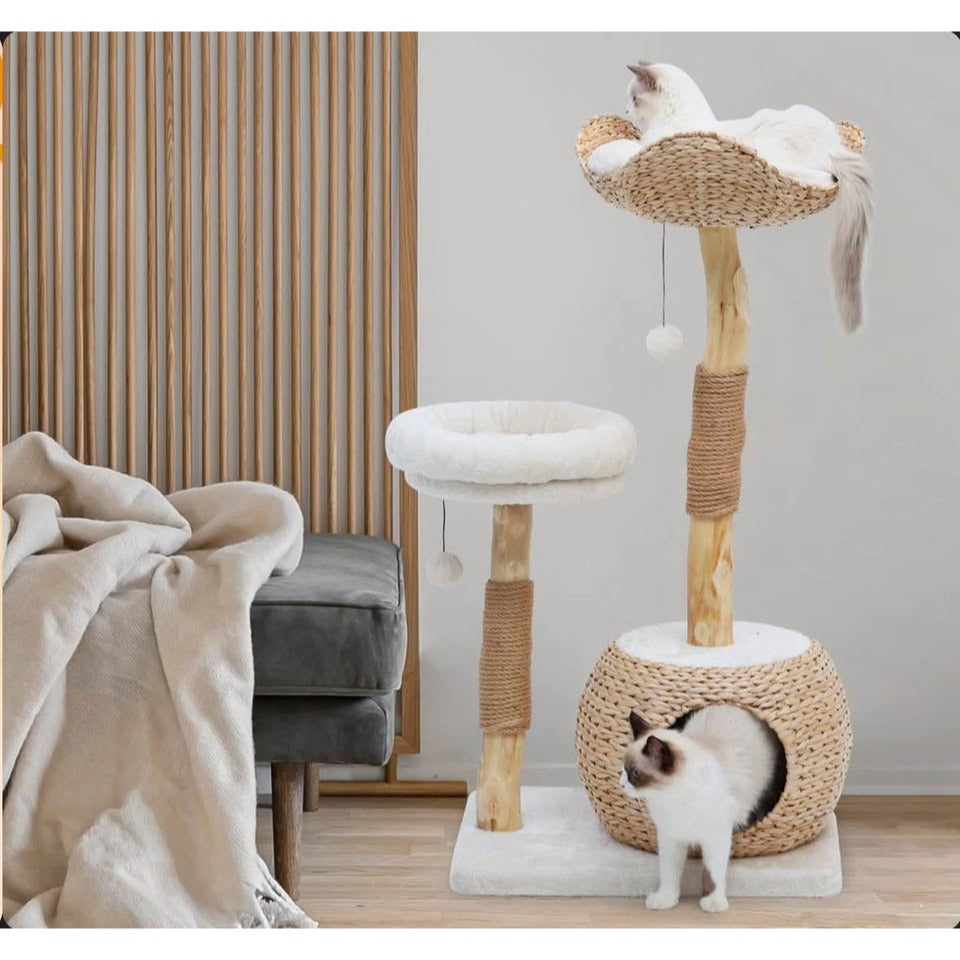 Kelston 40.5" Cat Tree for Indoor Small Cats, Woven Cattail Fabric