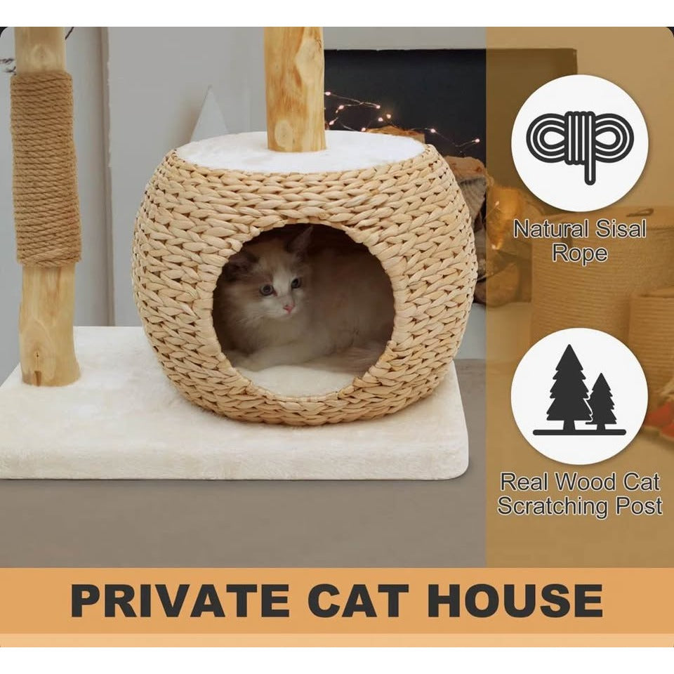 Kelston 40.5" Cat Tree for Indoor Small Cats, Woven Cattail Fabric