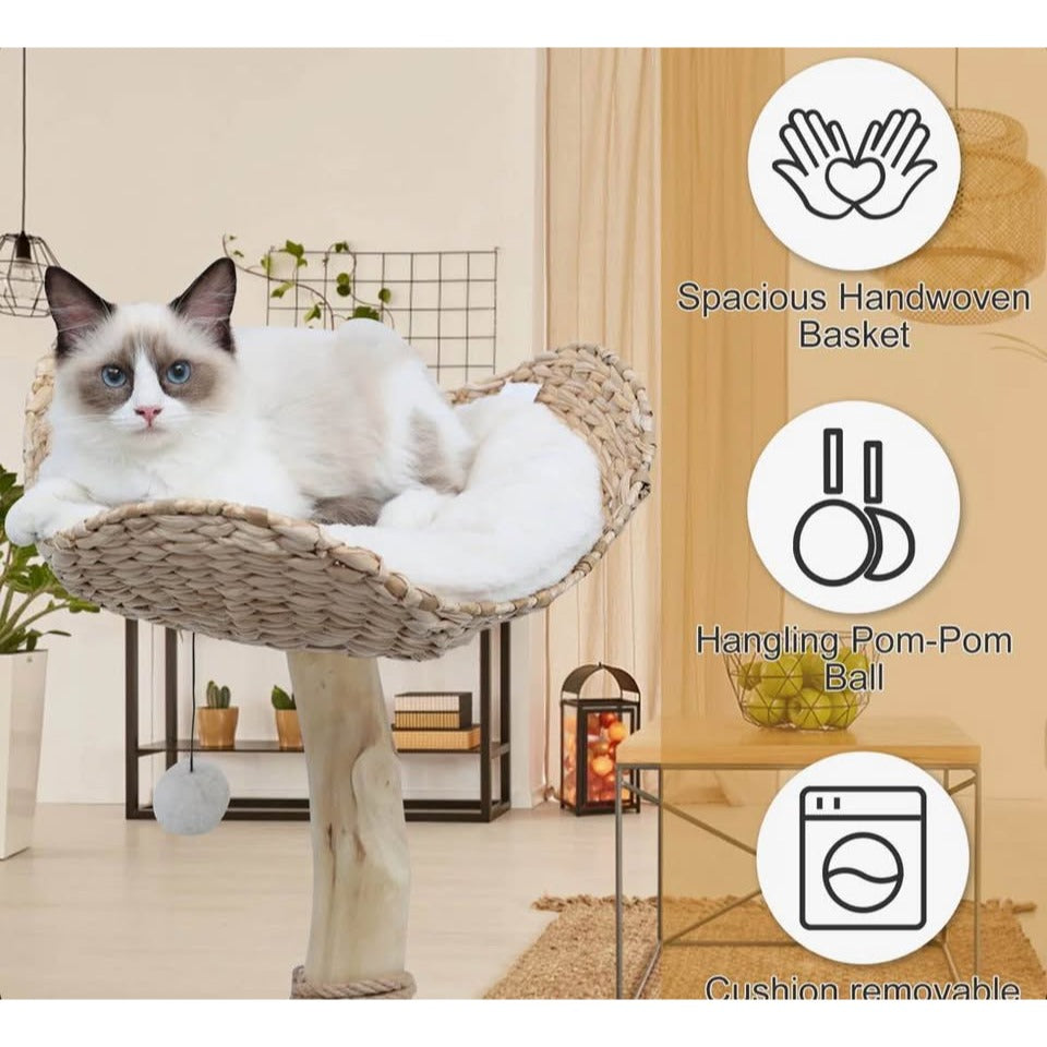 Kelston 40.5" Cat Tree for Indoor Small Cats, Woven Cattail Fabric